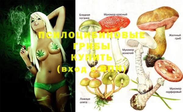 PSILOCYBIN Арсеньев