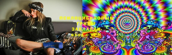 PSILOCYBIN Арсеньев