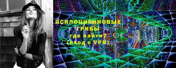 PSILOCYBIN Арсеньев