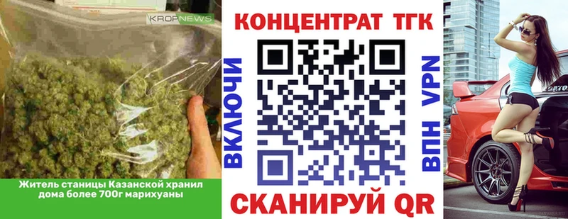 ТГК концентрат  купить   Салаир 